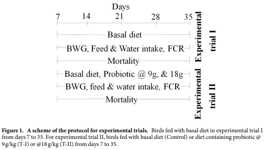 Studies on the growth performance of different broiler strains at high altitude and evaluation of probiotic effect on their survivability - Image 1
