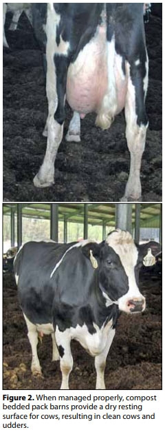 Compost Bedded Pack Barn Design. Features and Management Considerations - Image 3