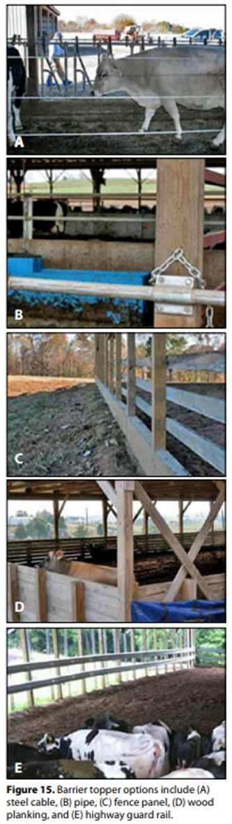 Compost Bedded Pack Barn Design. Features and Management Considerations - Image 16