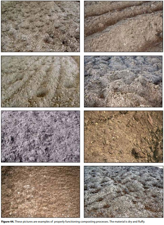 Compost Bedded Pack Barn Design. Features and Management Considerations - Image 46