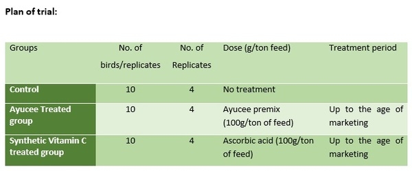 Natural Vitamin C with added benefits over Synthetic: Ayucee - Image 3
