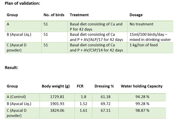 Optimizing calcium and phosphorus absorption and utilization in poultry: A new approach - Image 2