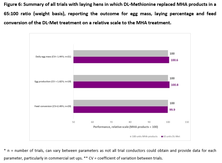 About 128,000 laying hens don’t lie: the nutritional value of DL-methionine hydroxy analogue is 65 % that of MetAMINO® - Image 10
