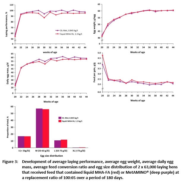 About 128,000 laying hens don’t lie: the nutritional value of DL-methionine hydroxy analogue is 65 % that of MetAMINO® - Image 4