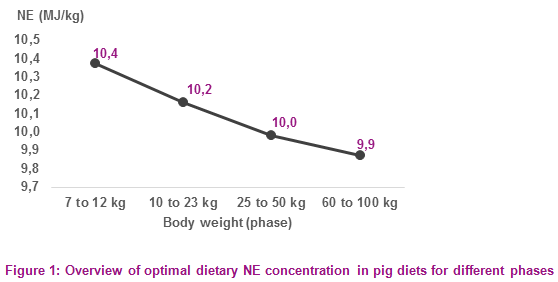 Dietary net energy concentrations to optimize growth performance of modern pigs – a review - Image 5
