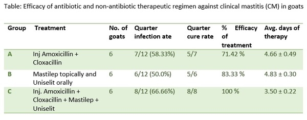 Treating clinical mastitis: An alternative approach - Image 2