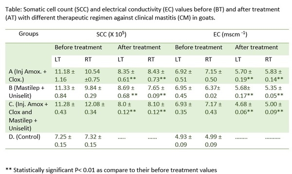 Treating clinical mastitis: An alternative approach - Image 4
