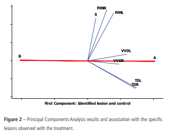 Use of Vitamin D to Reduce Lameness in Broilers Reared in Harsh Environments - Image 4