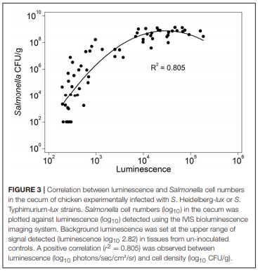 Salmonella Harborage Sites in Infected Poultry That May Contribute to Contamination of Ground Meat - Image 4