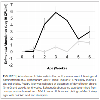 Antimicrobial Resistant Salmonella enterica Typhimurium Colonizing Chickens: The Impact of Plasmids, Genotype, Bacterial Communities, and Antibiotic Administration on Resistance - Image 9