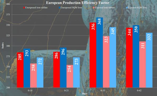 Influence of Iron Source (Organic vs Inorganic) on Broiler Performance Under a Pathogen Exposure - Image 3