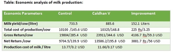 Improving lactational Efficiency by modulating absorption of micronutrients in the dairy cows - Image 3