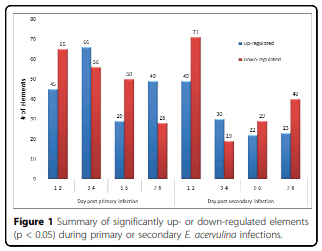 Analysis of global transcriptional responses of chicken following primary and secondary Eimeria acervulina infections - Image 1