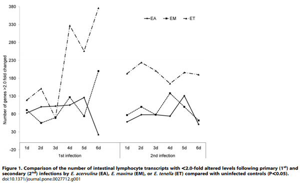 Comparative Microarray Analysis of Intestinal Lymphocytes following Eimeria acervulina, E. maxima, or E. tenella Infection in the Chicken - Image 2