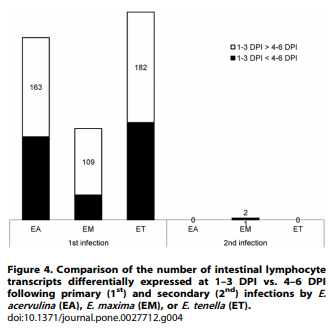Comparative Microarray Analysis of Intestinal Lymphocytes following Eimeria acervulina, E. maxima, or E. tenella Infection in the Chicken - Image 5