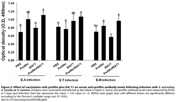 Evaluation of MontanideTM ISA 71 VG Adjuvant during Profilin Vaccination against Experimental Coccidiosis - Image 9