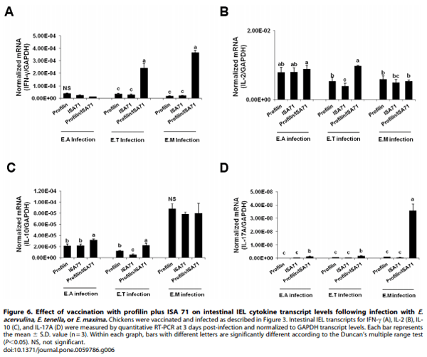 Evaluation of MontanideTM ISA 71 VG Adjuvant during Profilin Vaccination against Experimental Coccidiosis - Image 10