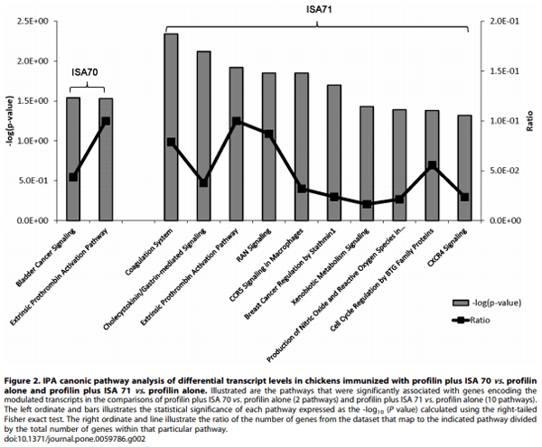 Evaluation of MontanideTM ISA 71 VG Adjuvant during Profilin Vaccination against Experimental Coccidiosis - Image 5