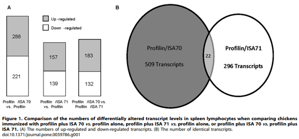Evaluation of MontanideTM ISA 71 VG Adjuvant during Profilin Vaccination against Experimental Coccidiosis - Image 2