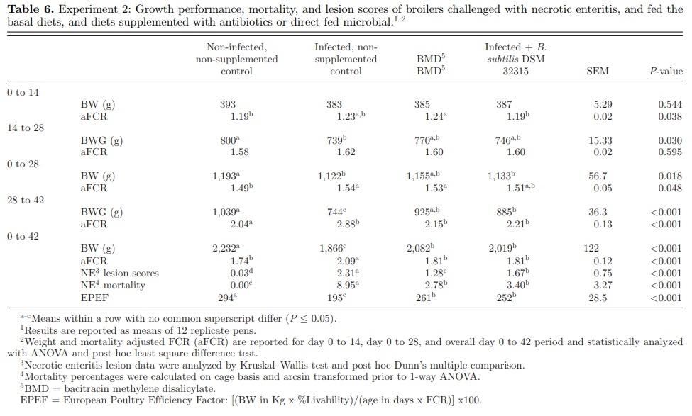 Effect of Bacillus subtilis DSM 32315 on the intestinal structural integrity and growth performance of broiler chickens under necrotic enteritis challenge - Image 6