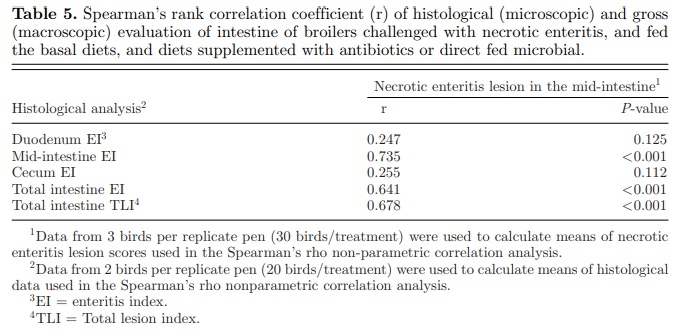 Effect of Bacillus subtilis DSM 32315 on the intestinal structural integrity and growth performance of broiler chickens under necrotic enteritis challenge - Image 5