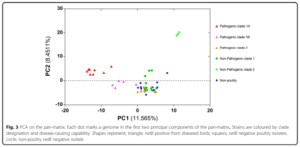 Whole genome analysis reveals the diversity and evolutionary relationships between necrotic enteritis-causing strains of Clostridium perfringens - Image 5