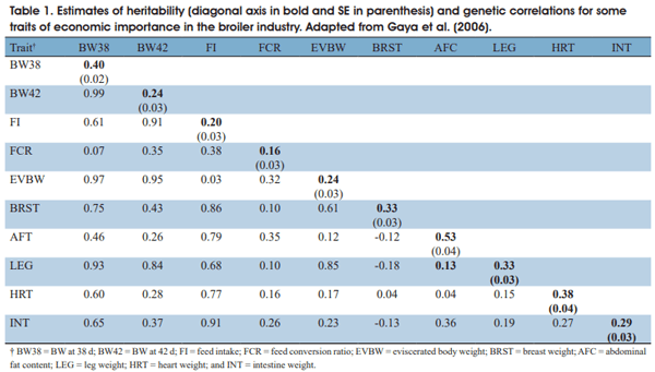 Impact of genetics and breeding on broiler production performance: a look into the past, present, and future of the industry - Image 4