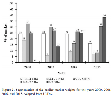 Impact of genetics and breeding on broiler production performance: a look into the past, present, and future of the industry - Image 3