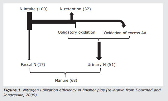 Improving protein utilization efficiency through better understanding of immune and stress responses in pigs - Image 1