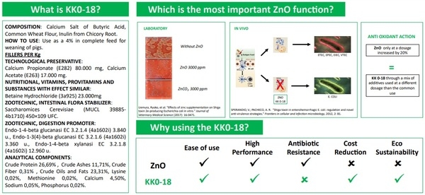 An answer to the problem of swine weaning without the use of zinc oxide - Image 1