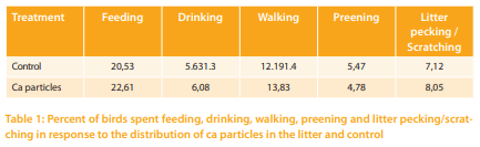 The behavior of broiler breeders under controlled feeding conditions in response to coarse Ca particles scattered in the litter - Image 2