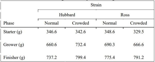 Effect of breed and density on growth performance and carcass traits of two broiler breeds - Image 2