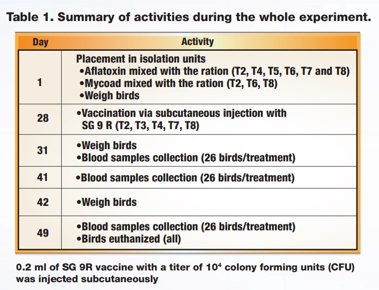 Cellular immune response after vaccination with SG 9R in birds fed Aflatoxin and a mycotoxin adsorbent in the diet - Image 1