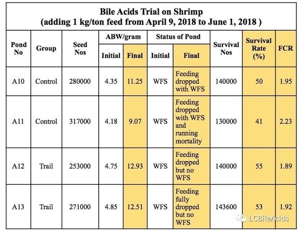 Importance of Bile Acids in Shrimp Nutrition and Hepatopancreas - Image 4
