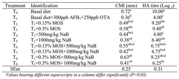Ameliorative Effects of Mannan Oligosaccharide and Sodium Butyrate on Production Performance and Immunity During Combined Aflatoxicosis and Ochratoxicosis in Broiler Chickens - Image 4