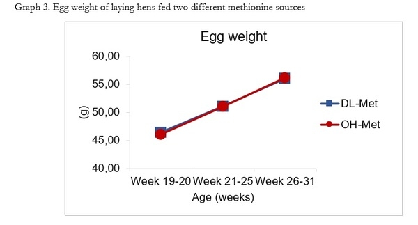 OH-Methionine and DL-Methionine are similar in sustaining laying performance and egg quality of Babcock layers - Image 3