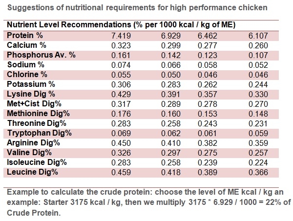 Precision nutrition for high performance broilers - Image 13