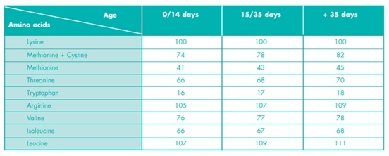 Precision nutrition for high performance broilers - Image 12