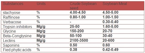 Precision nutrition for high performance broilers - Image 6