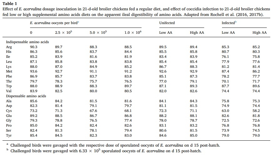 Effects of dietary amino acids in ameliorating intestinal function during enteric challenges in broiler chickens - Image 1