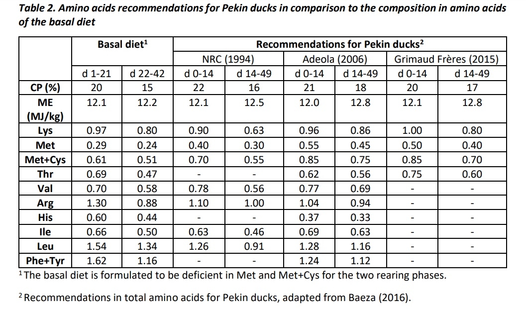 An optimal duck performance on growing and feathering with 100% efficient methionine sources: OHMethionine or DL-Methionine - Image 2
