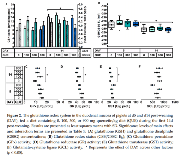 The Effect of Dietary Quercetin on the Glutathione Redox System and Small Intestinal Functionality of Weaned Piglets - Image 8