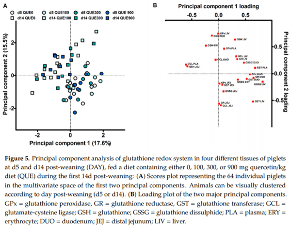 The Effect of Dietary Quercetin on the Glutathione Redox System and Small Intestinal Functionality of Weaned Piglets - Image 14