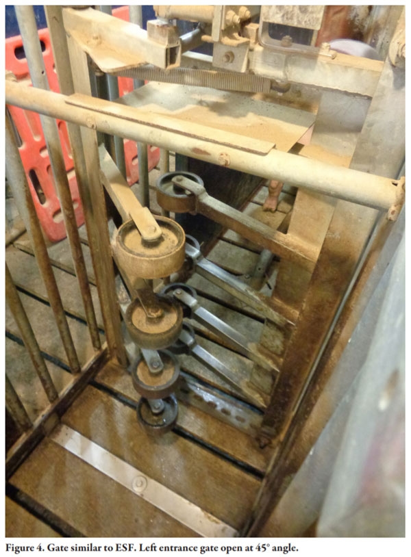 Gilt Training for Electronic Sow Feeding Systems in Gestation - Image 4
