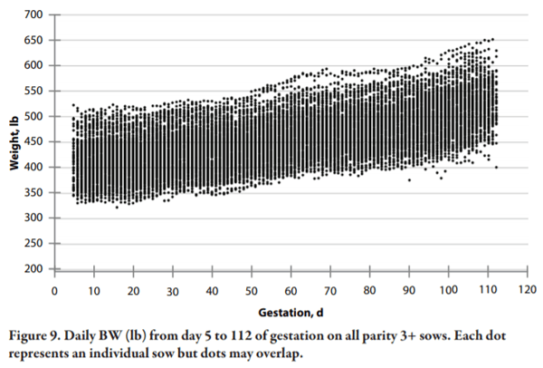 Lessons Learned from Managing Electronic Sow Feeders and Sow Body Weight Data - Image 9
