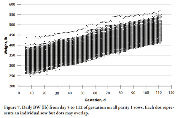 Lessons Learned from Managing Electronic Sow Feeders and Sow Body Weight Data - Image 7