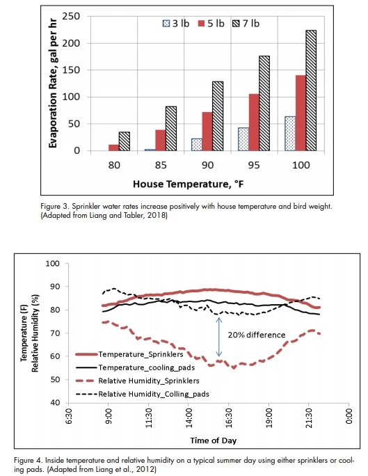 Sprinklers Offer Flock Cooling Benefits and Water Conservation Opportunities - Image 3