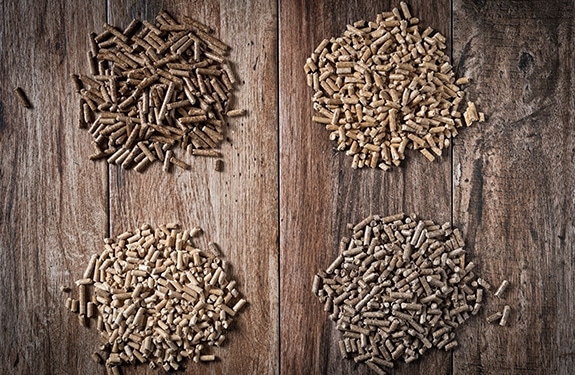 Optimising pellet processing to boost pellet quality and profitability - Image 1