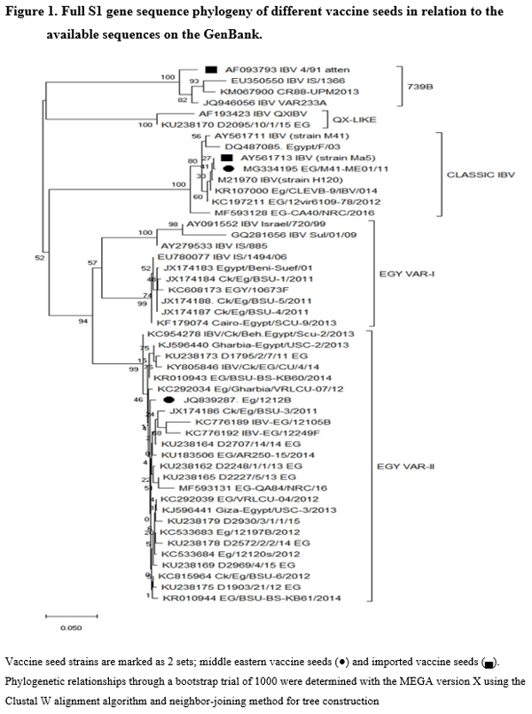 Protective Efficacy of Different Live Attenuated Infectious Bronchitis Virus Vaccination Regimes Against Challenge With IBV Variant-2 Circulating in the Middle East - Image 2