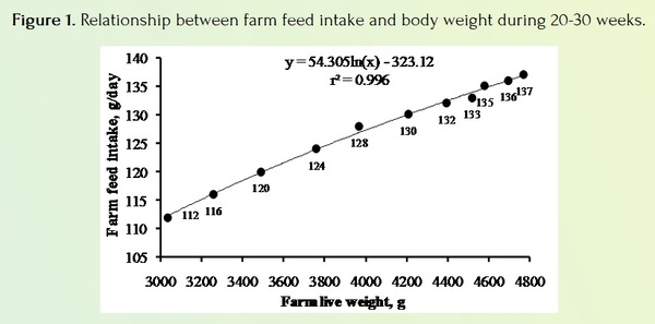 How to Improve the Fertility and Hatchability in Broiler Breeders - Image 1